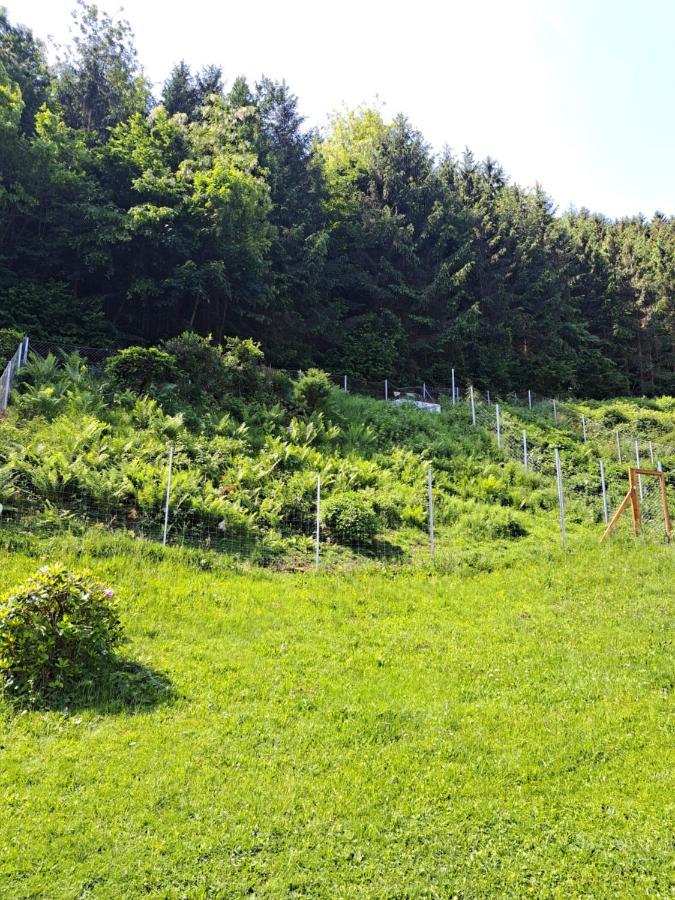 Haus Beim Wasser Im Gruenen In Sehr Ruhiger Lage!! Vila Willersbach Exterior foto